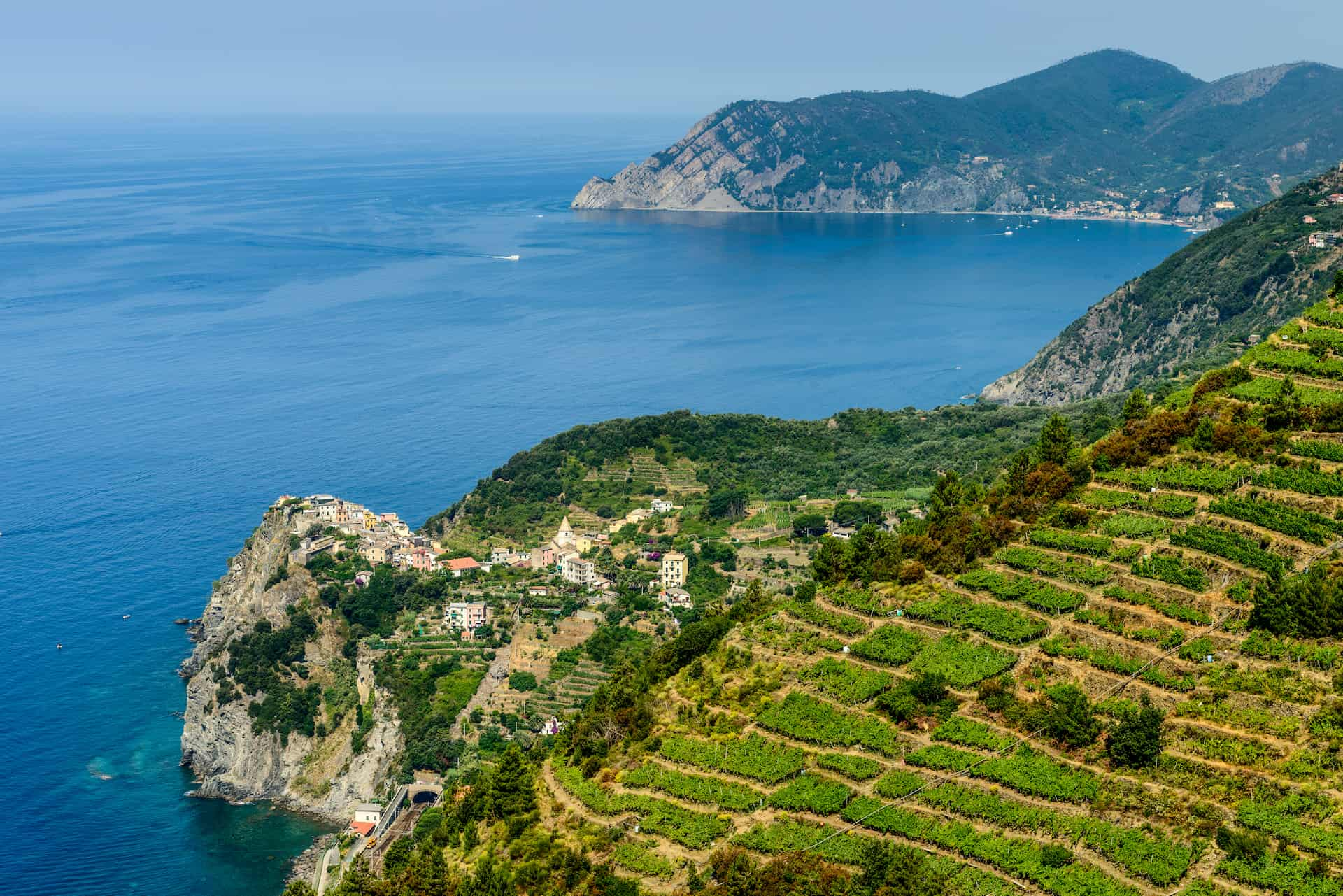 Sciacchetrà-l-essenza-delle-Cinque-Terre-in-un-calice